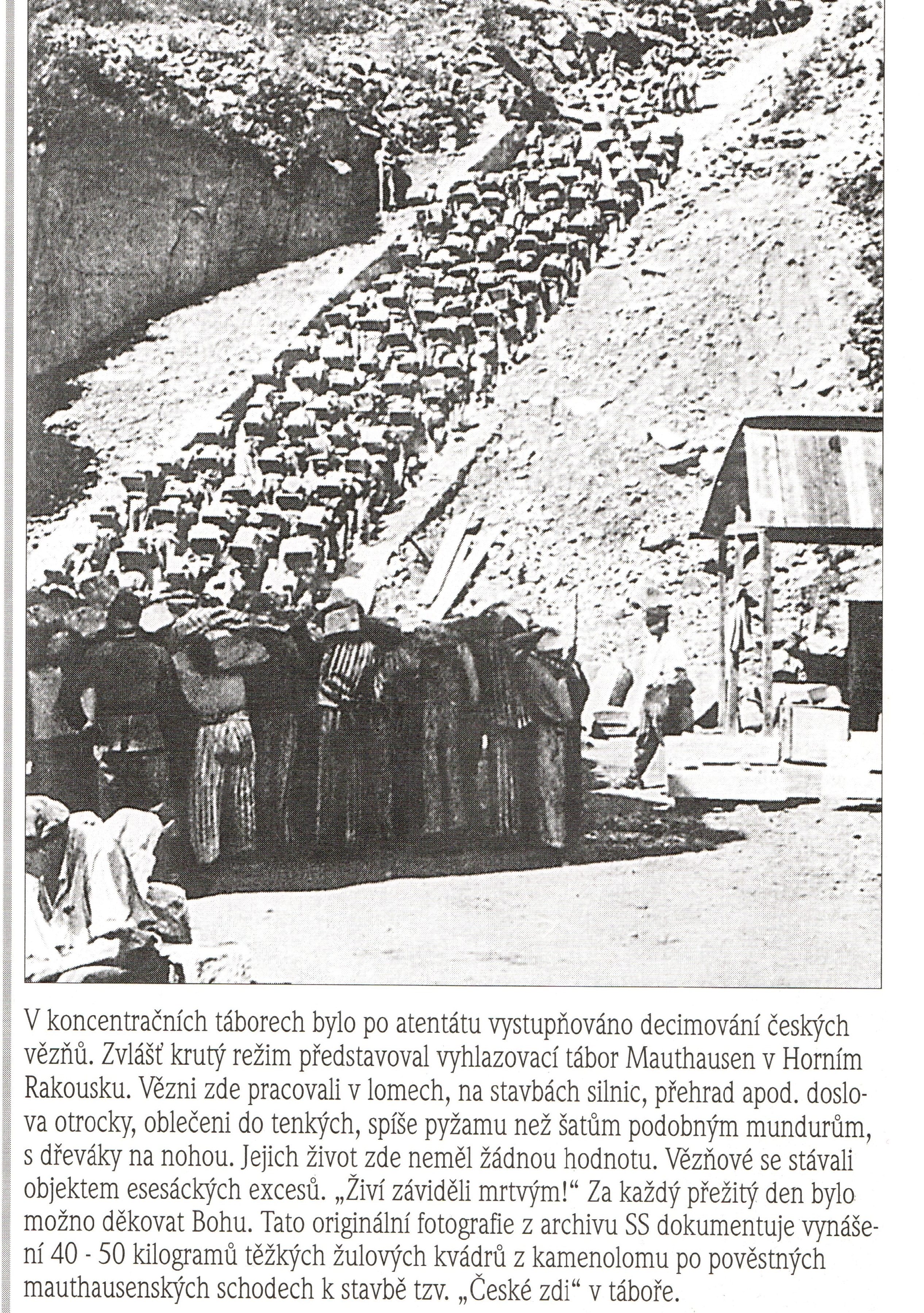 Skener_20210422 (6)-min