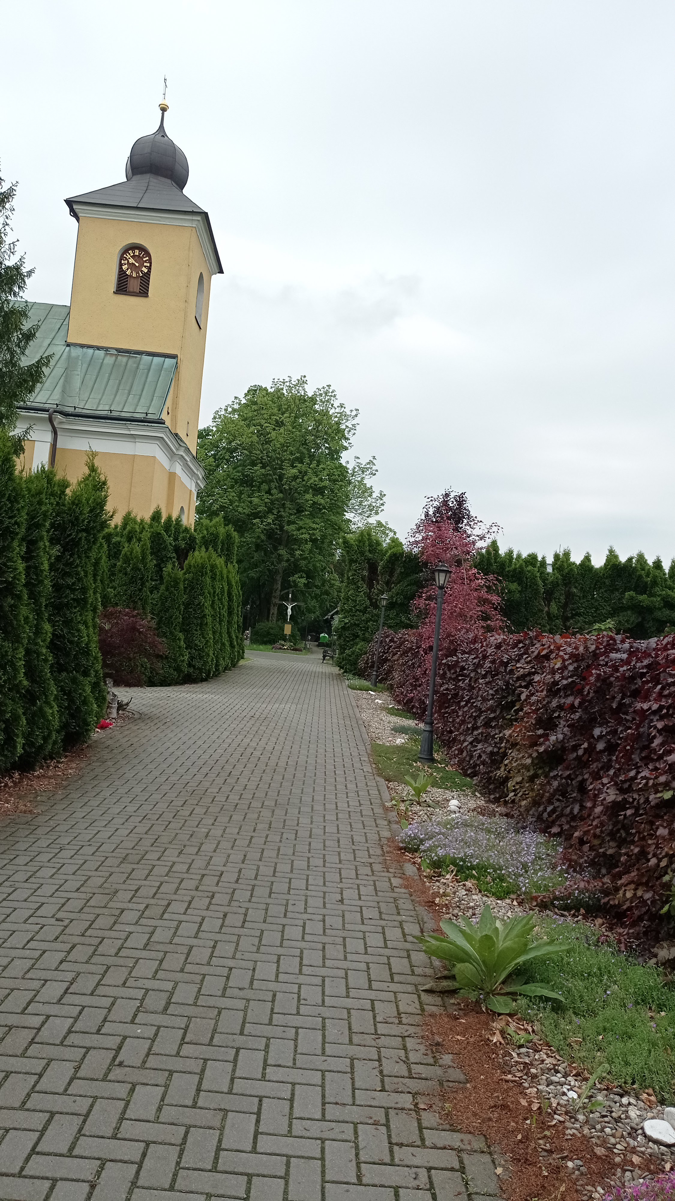 IMG_20230526_095151