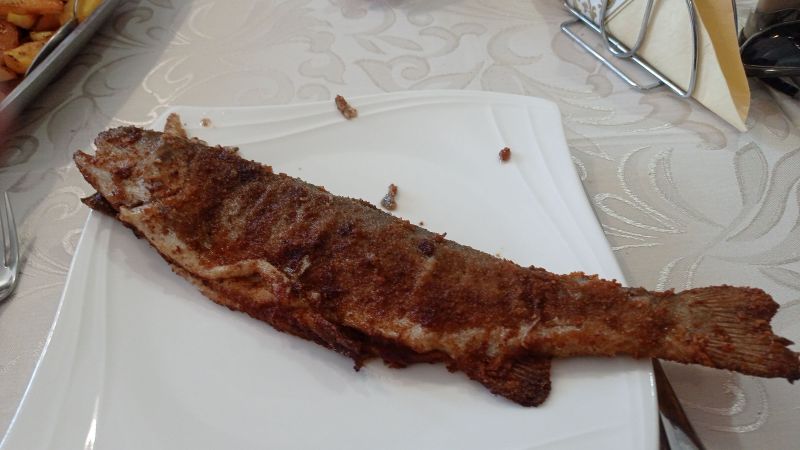 IMG_20230920_115427