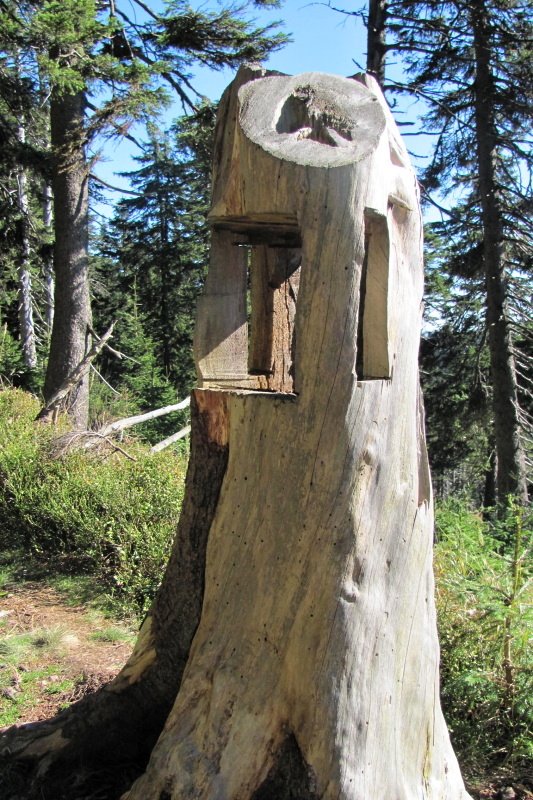 Kralicky_Sneznik_28.9.2014_030