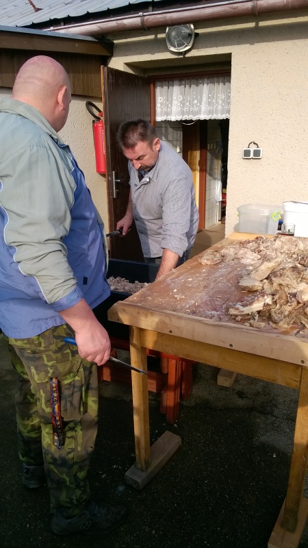 WP_20151113_13_09_18_Pro