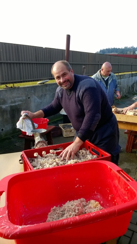 WP_20151113_13_09_33_Pro