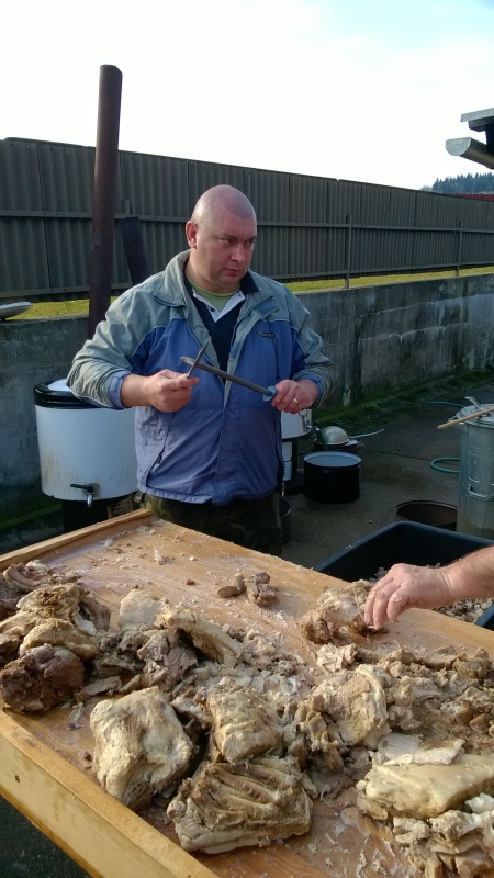 WP_20151113_13_09_43_Pro