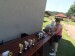 SAM_1167
